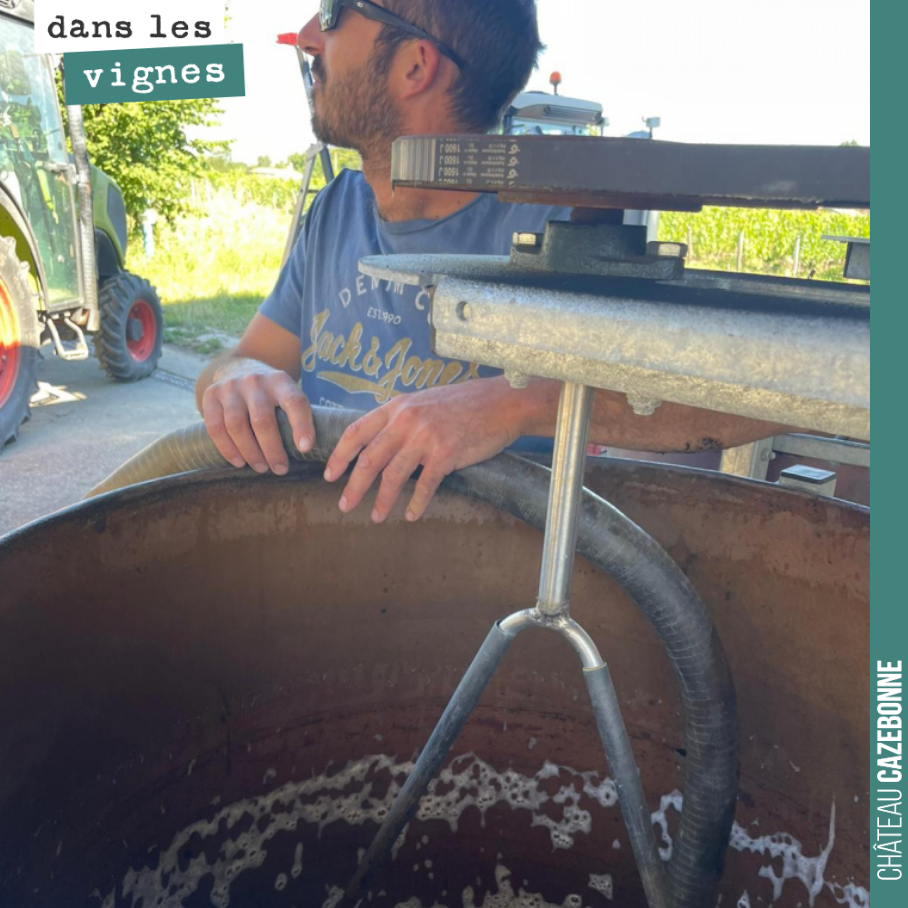 A la fraîche, on a dynamisé une tisane de consoude, achillée, camomille et ortie, ainsi que de la bouse de corne.
Dynamisation d’une heure. Il faut que l’on aide la vigne à gérer le stress assoc...