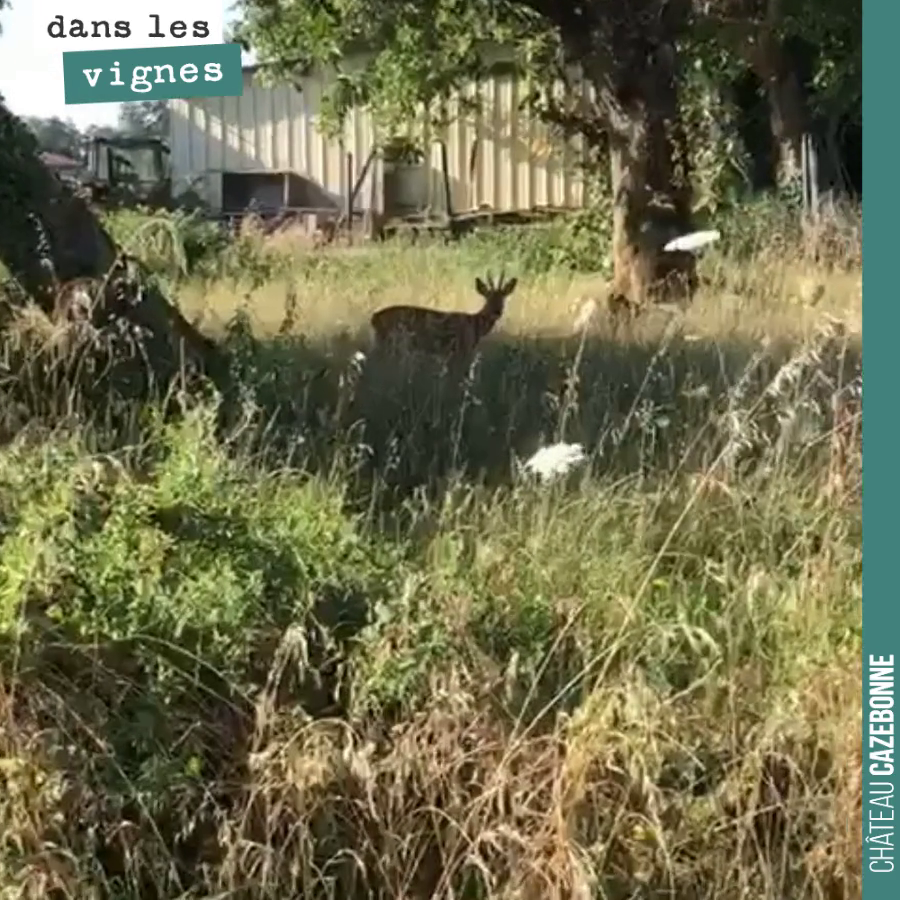 Hier matin, une rencontre !