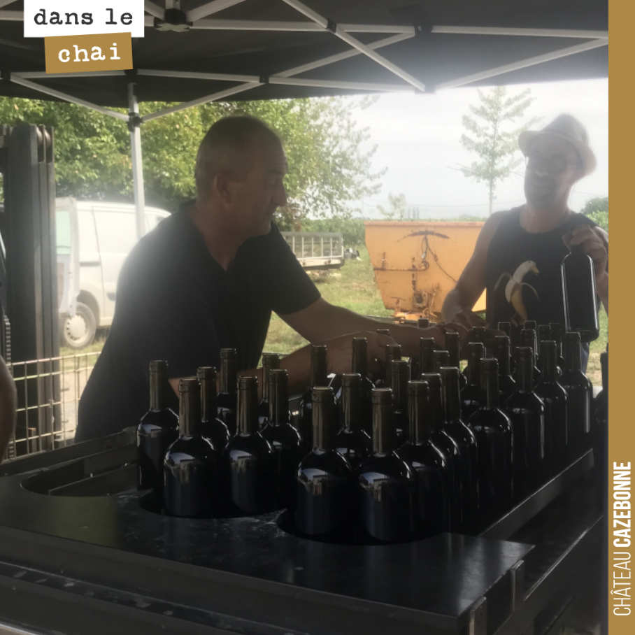 Aujourd’hui, c’est mise en bouteille pour dégager un peu de place pour l’arrivée des rouges.
On vous réserve une petite surprise avec cette cuvée issue de Malbec, toute en gourmandise.