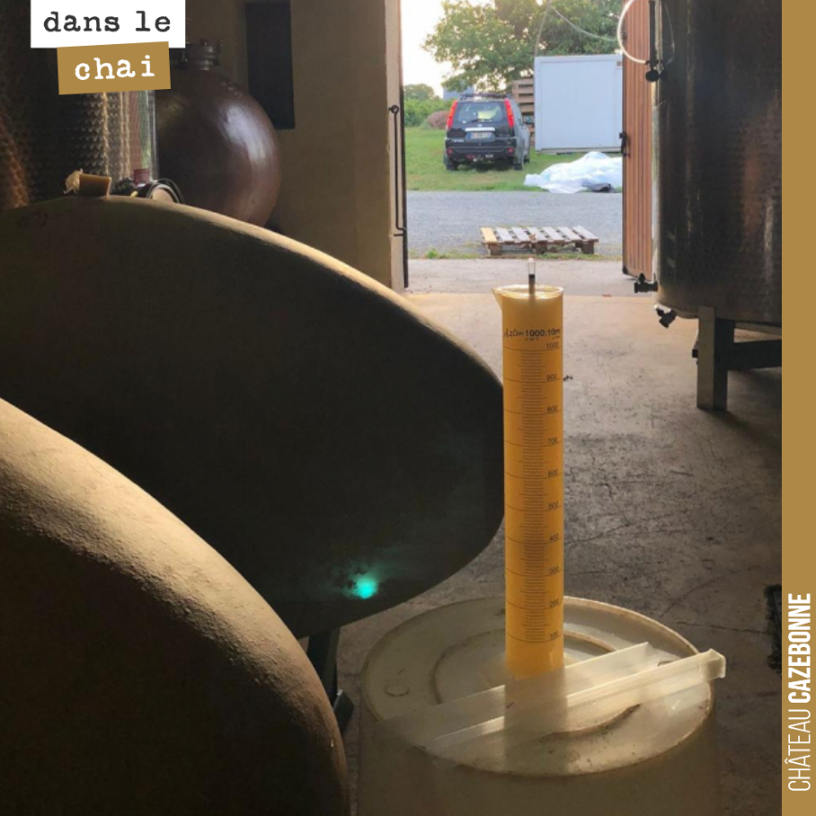 Clap de fin de pour la fermentation du lot de notre parcelle de Bouché. Fermentation en œuf.
Moins d’une semaine. On peut dire que cette année cela n’a pas traîné.