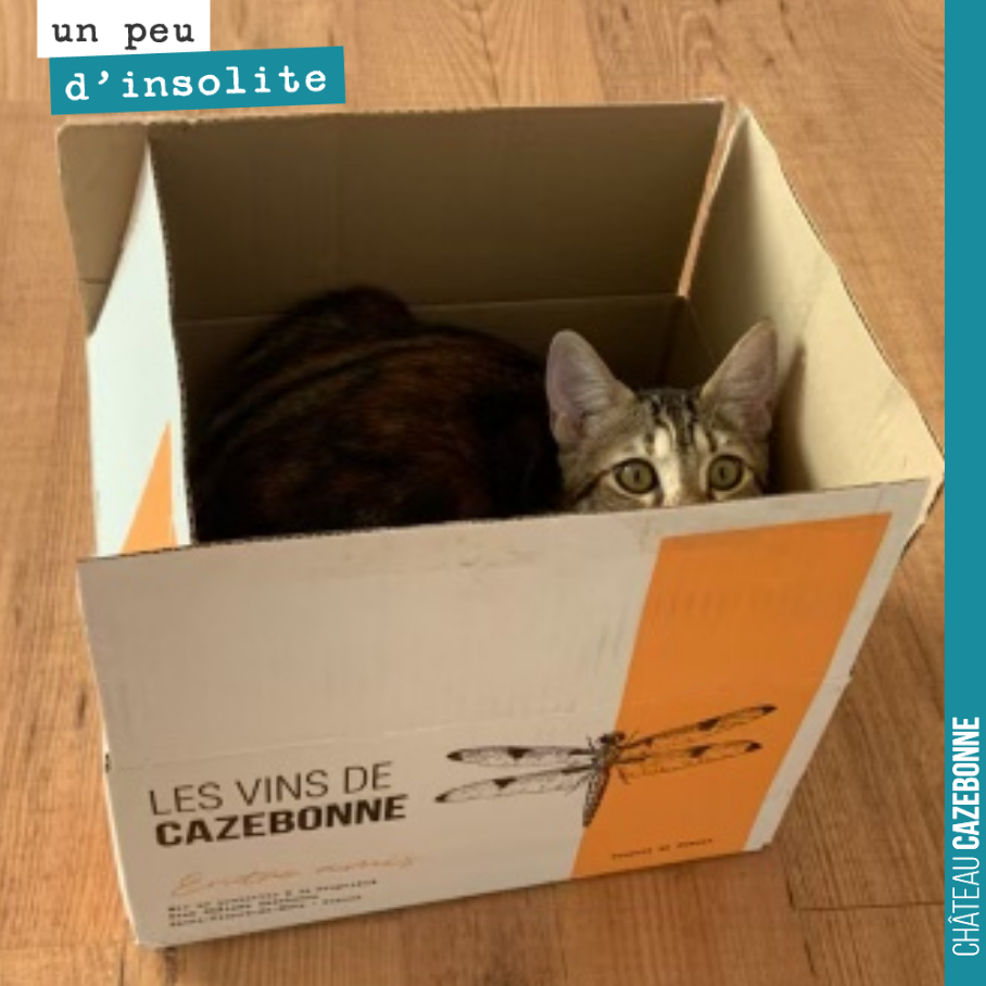 Tiens, mais qui se cache donc là ?
Merci Luc pour la photo.