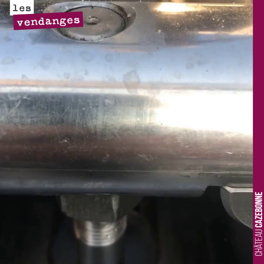 Envoûtant ballet dans la machine à embouteiller !