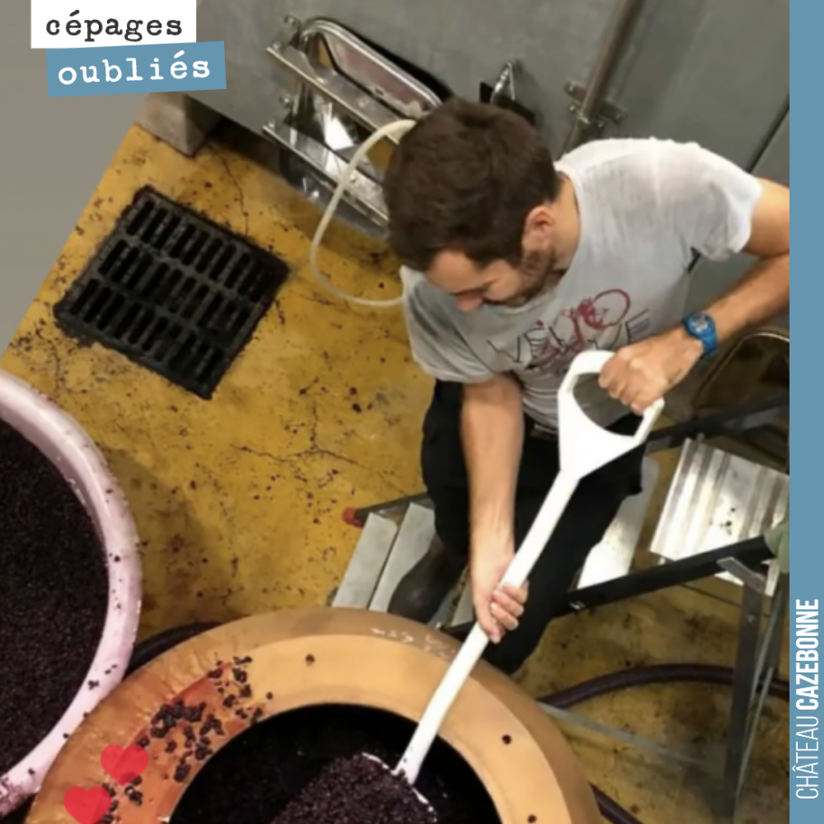 Clément décuve le Bouchalès qui a maintenant fini sa fermentation.
7,5hl d’une petite merveille qui servira à l’assemblage de la cuvée Comme en 1900.
Maintenant, place à l’élevage !