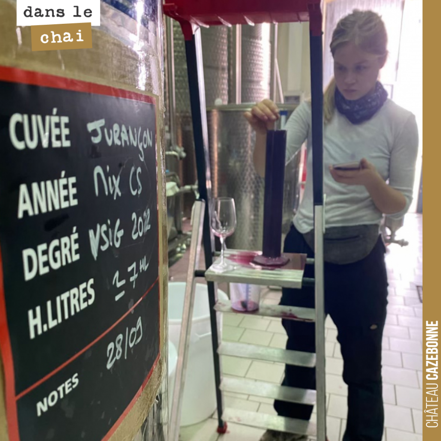Pas de repos pour les braves.
Lisa est sur le pont ce dimanche pour brasser les lies des dernières cuves de Cabernet. Pas simple de finir les fermentations cette année. Jusque là, toutes les ferme...