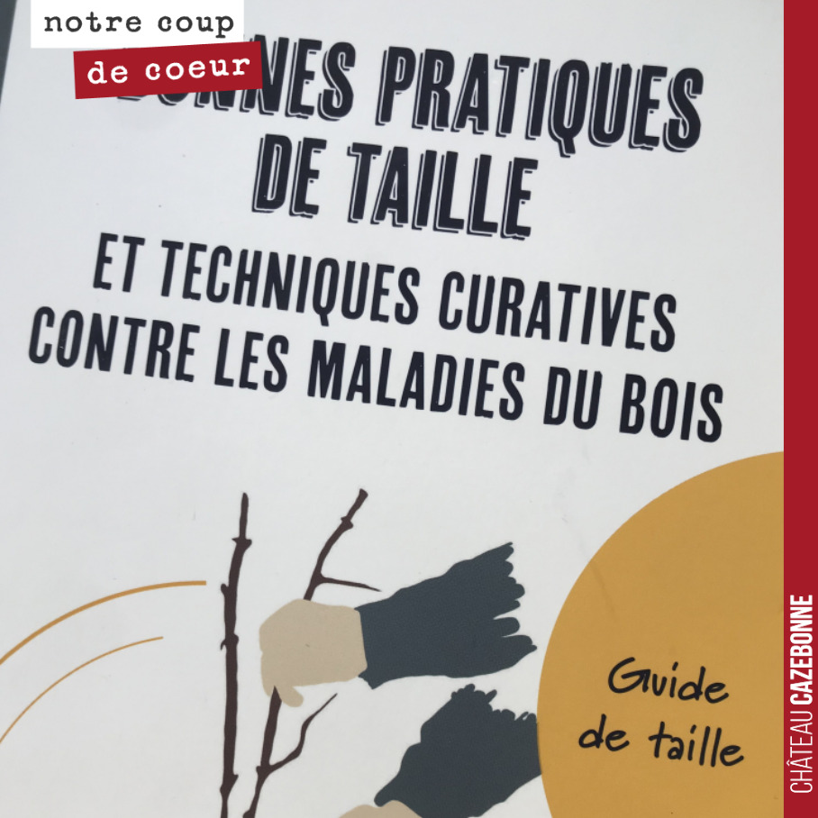 Saines lectures avant l’hiver et la saison de la taille.
Magnifique ouvrage signé Francois Dal à l’initiative du Bureau Interprofessionnel des Vins du Centre-Loire.