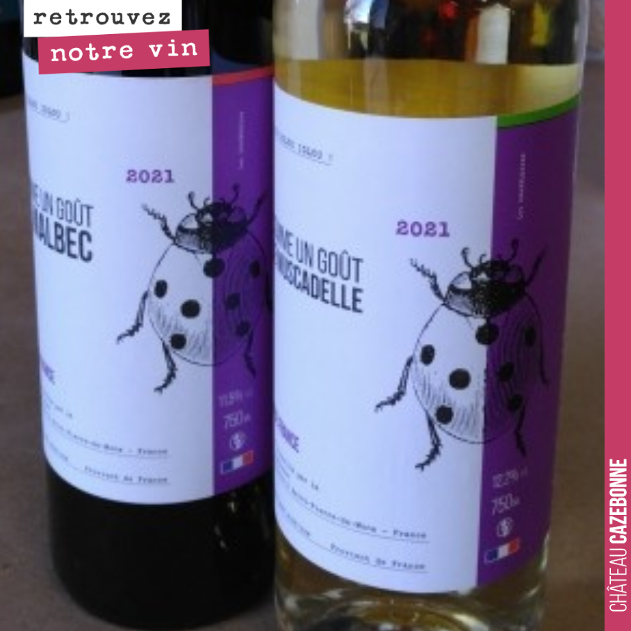 On vient d’étiqueter les 3 premières cuvées de notre gamme Comme un goût de…
On commence par vous proposer de la Muscadelle, du Malbec et du Cabernet-Sauvignon.
Ce sont des mono-cépages à 100% po...
