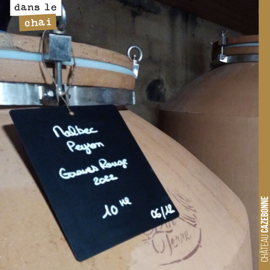 Nous avions produit en 2019 une magnifique Malbec.
Nous avions fait l’impasse sur les millésimes 2020 (faible récolte) et 2021 (gel).
La récolte 2022 est prometteuse et on espère bien pouvoir vou...
