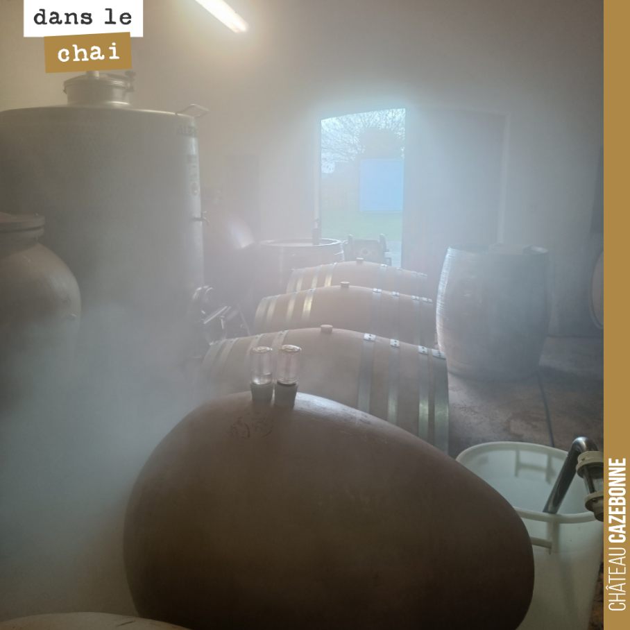 Beaucoup de brume dans le chai ce matin !
Vous savez pourquoi ?