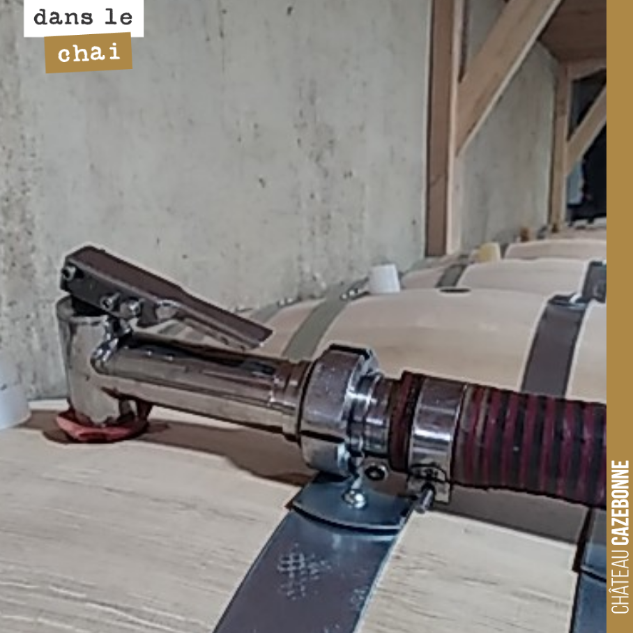 Aujourd’hui, c’est jour fruit !
On entonne le merlot dans nos barriques de 500L.