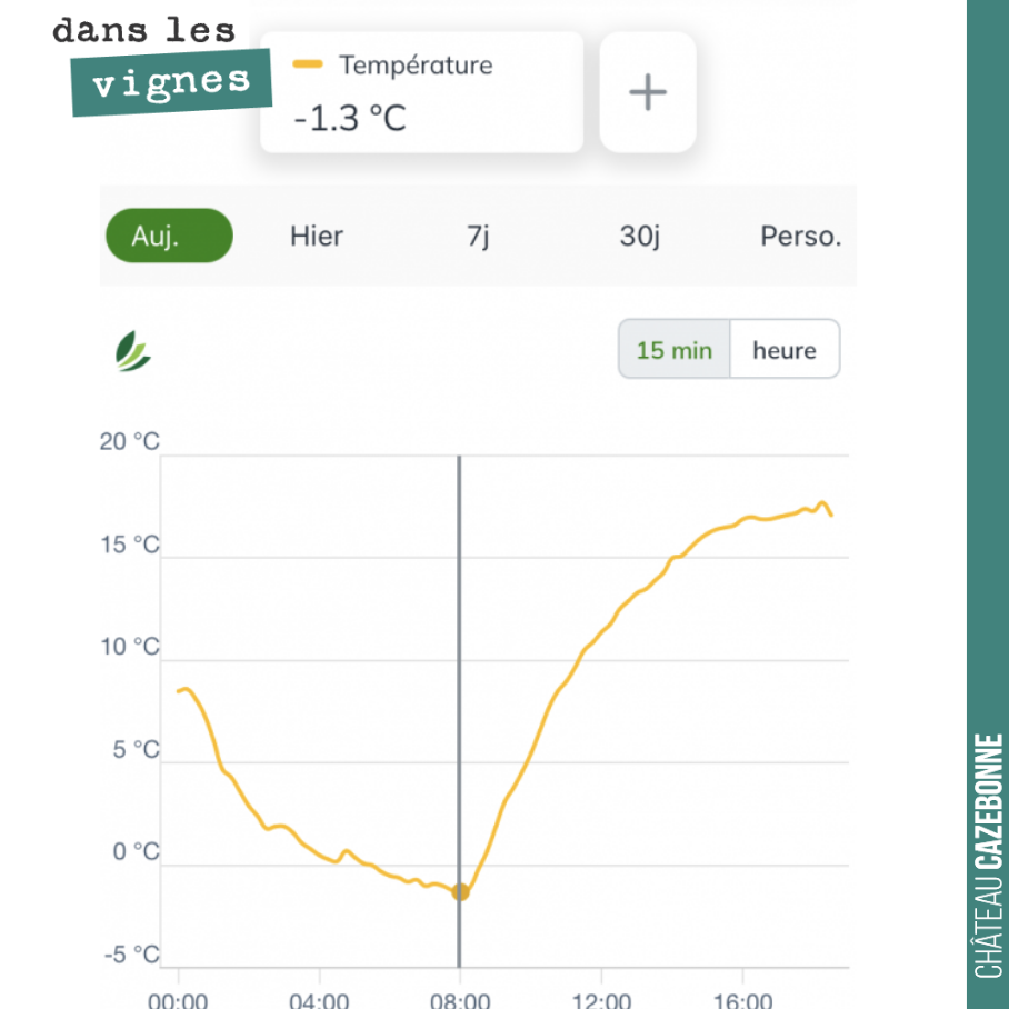 Les années se suivent et se ressemblent un peu trop. Pour la troisième année consécutive (après 2021 et 2022), le thermomètre est passé au négatif ce matin.
Les dégâts sont là sur les jeunes vigne...