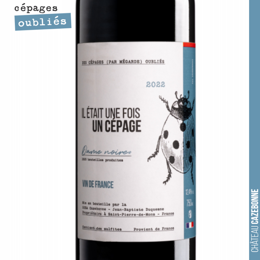 Sortie de notre cuvée à base Jurançon noir.
Très joli vin sur le fruit avec une matière bien présente.
Seulement 1300 bouteilles disponibles. A ne pas rater.
Jean-Baptiste