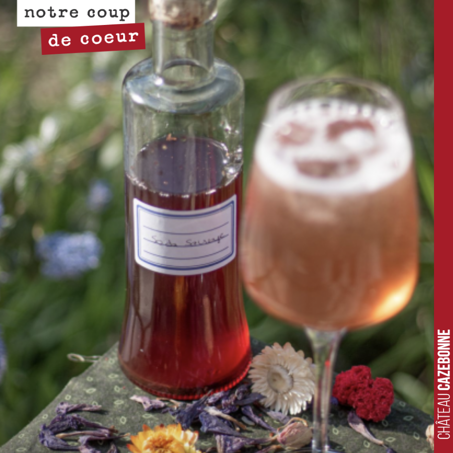 Le petnat sauvage, vous connaissez ?
C’est un cocktail créé par mon frère Chef Damien.
Il le réalise avec notre Petnat Gaz’bonne avec un sirop de soda sauvage, à base de plantes cueillies en Auver...