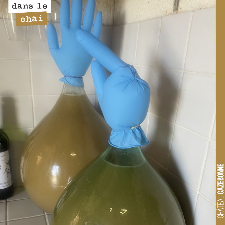 Quand le blanc auba fermente, cela donne de drôles de messages !