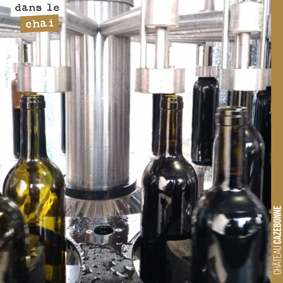 On attend cela depuis 2019, de pouvoir vous proposer de nouveau un parcellaire de Malbec issu de notre terroir de Peyron.
Malbec is back !
Commercialisation en mars, histoire de lui laisser un peu ...