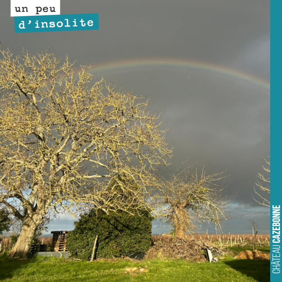 Unîtes Colors of Cazebonne !
Les couleurs de cette saison juste magnifiques, lorsque le soleil daigne pointer son nez !