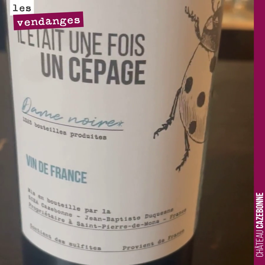 Un grand cépage, ce jurançon noir !
