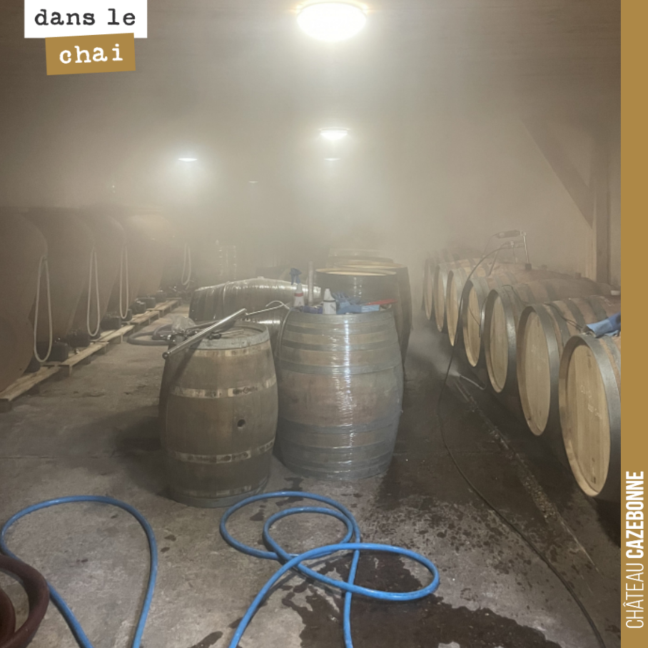 Le temps est venu de nettoyer les barriques qui ont accueilli le millésime 2023 pour préparer l’élevage du Grand vin 2024.
Après le nettoyage vapeur, je vous assure que l’on ne voit plus grand chos...