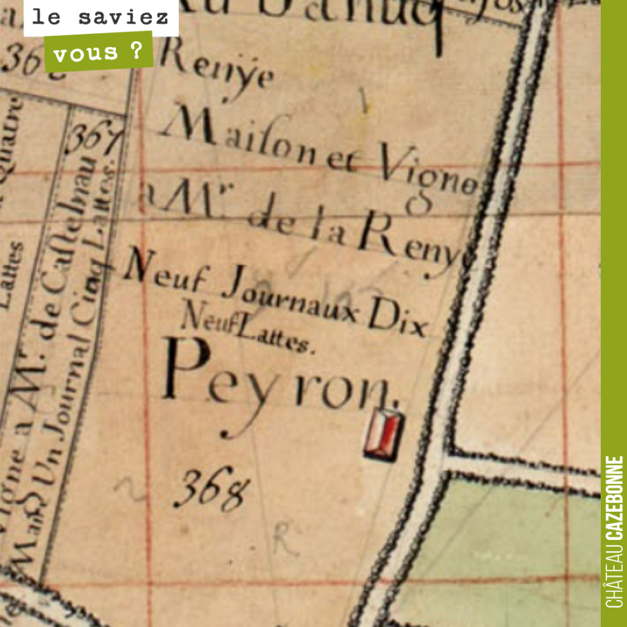 Les grands terroirs ne datent pas d’hier !
En reprenant le domaine en 2017, j’avais bien trouvé quelques traces d’un messire de Castelnau propriétaire du domaine en 1700. Mais guère plus d’infor...