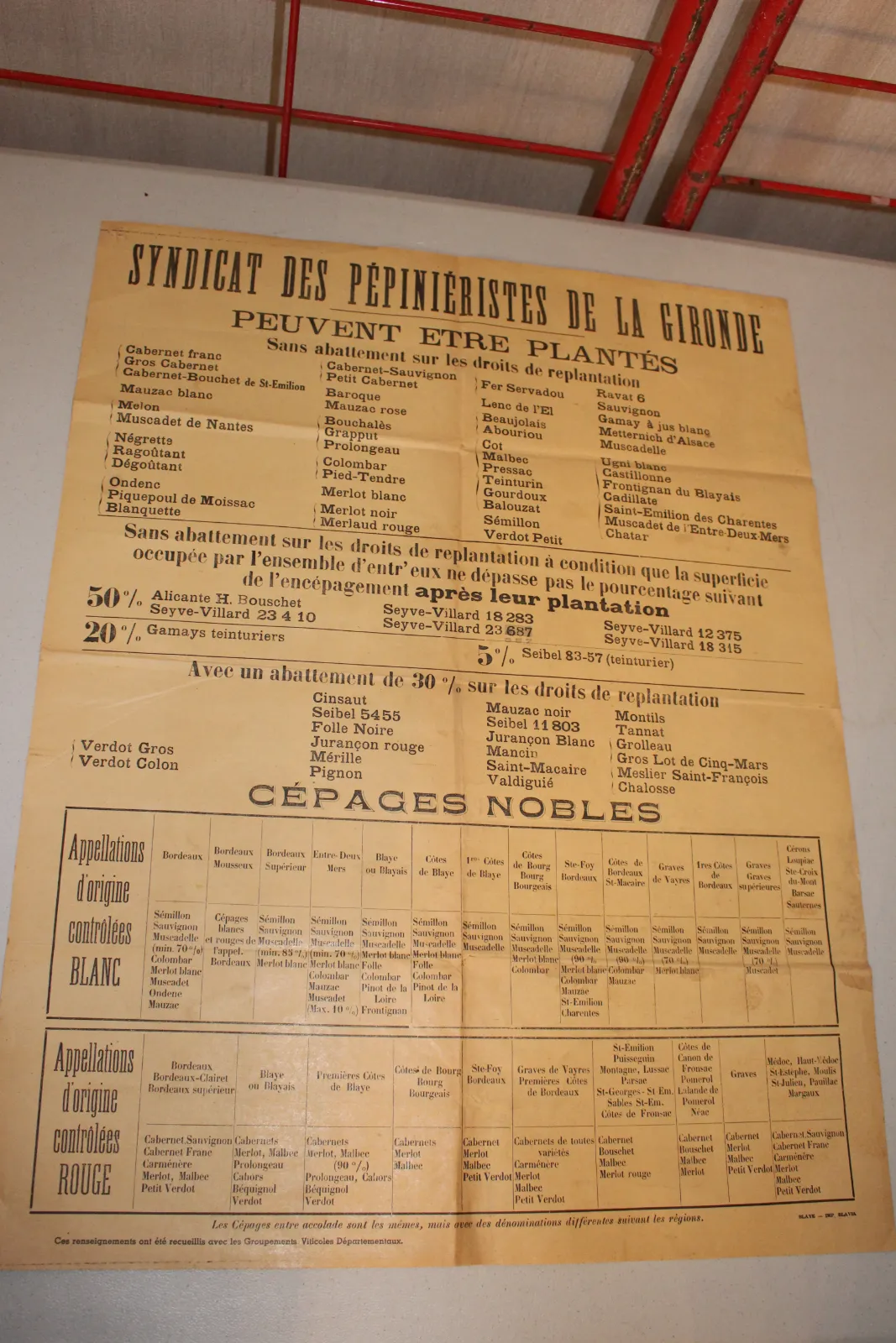 Les lois sur l'encépagement dans le vignoble dans les années 50