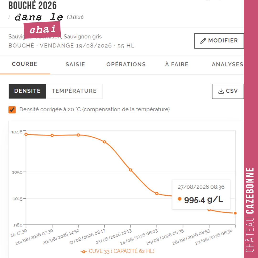 Petit décodage des coulisses de la vinification.