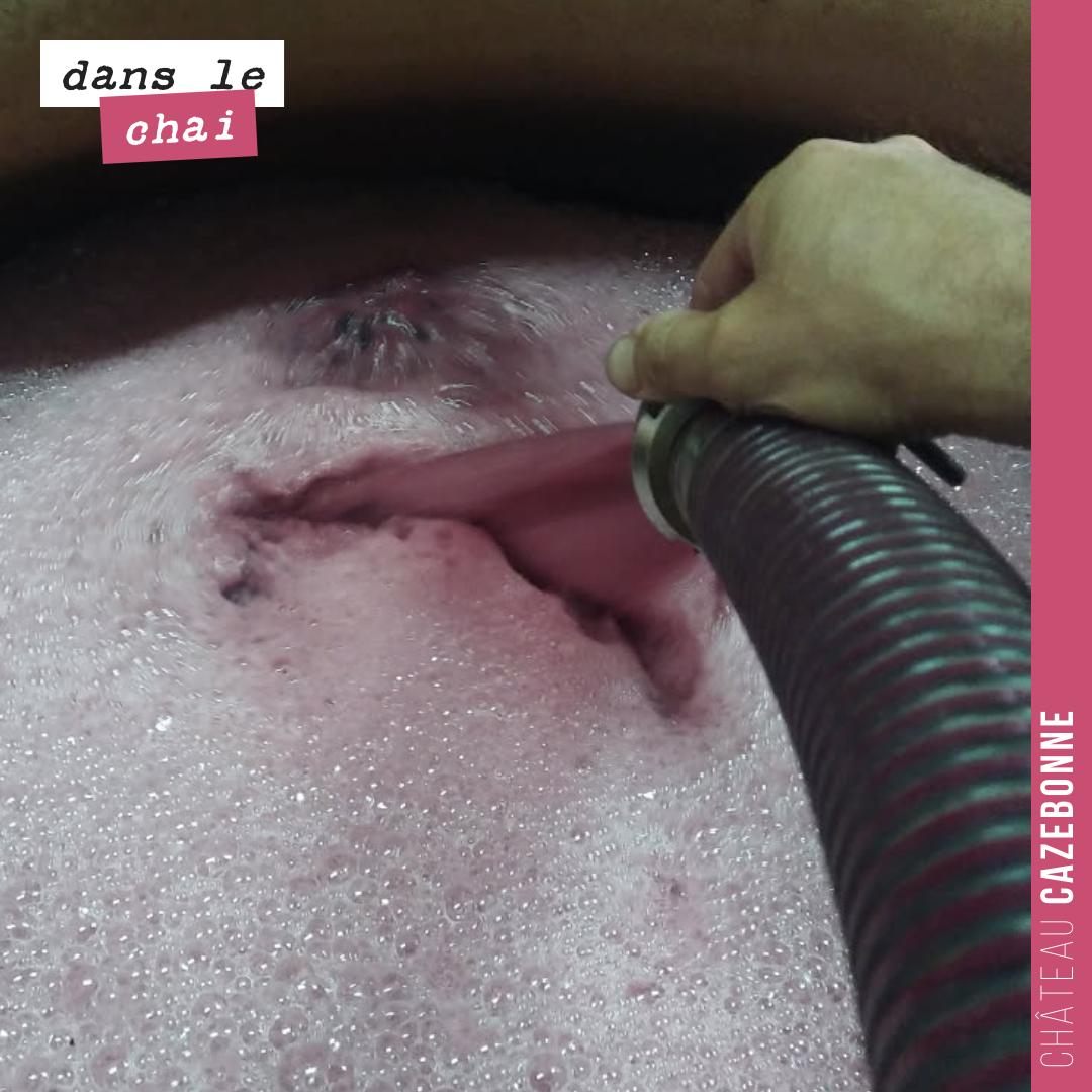 Remontage en début de fermentation de notre première vendanges de Merlot sur le millésime.