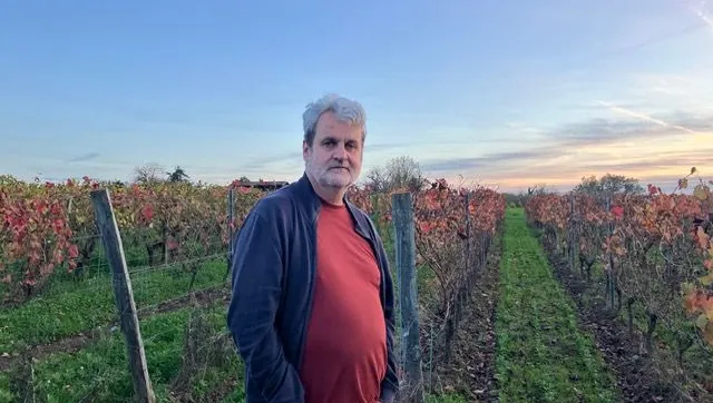 Quand les vignerons se réinventent sans modération