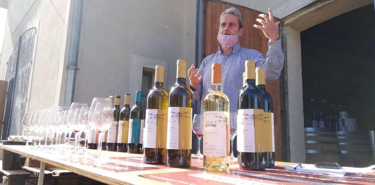 Sud-Gironde : le château Cazebonne met les cépages oubliés à l'honneur dans les Graves