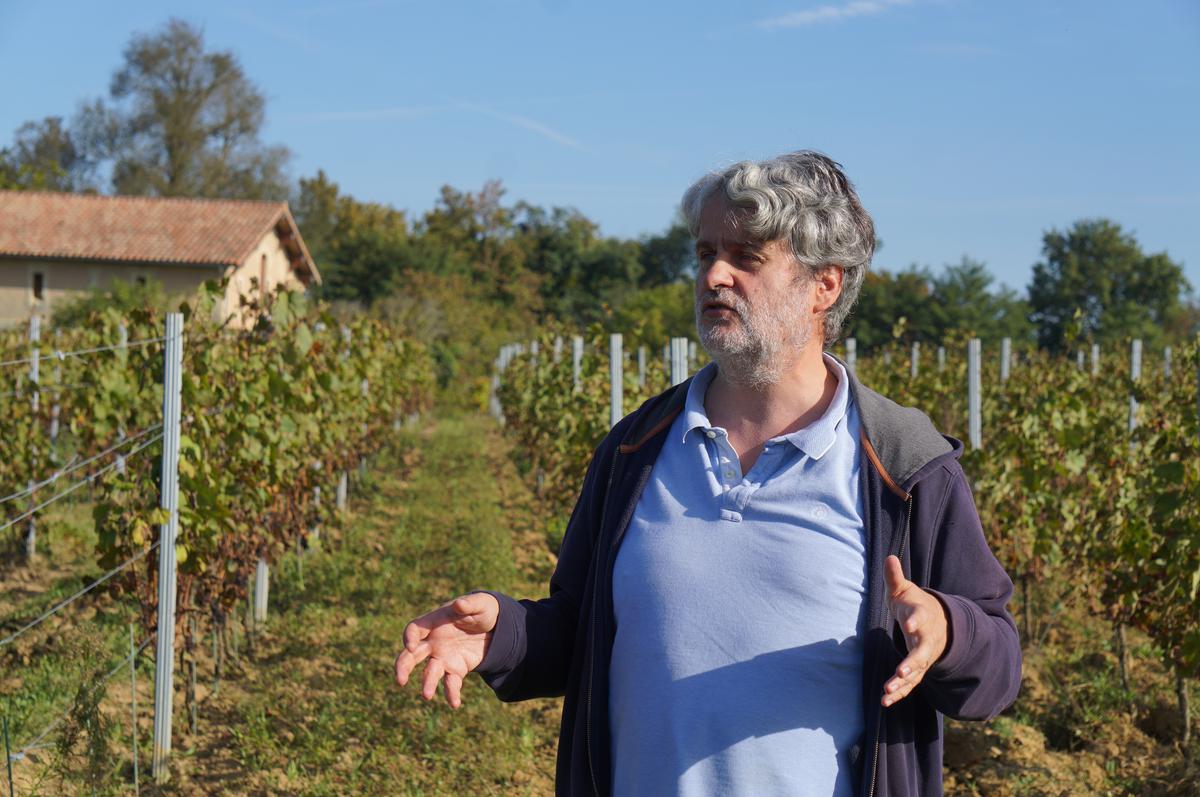 Portes ouvertes dans les Graves : Au château Cazebonne, on déguste aussi des vins issus de cépages anciens