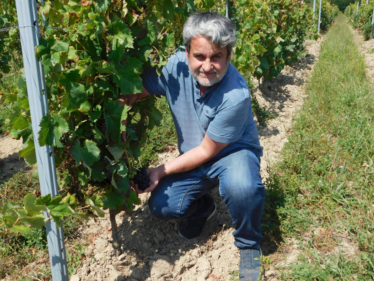 Au Château Cazebonne à Saint-Pierre-de-Mons : « On prépare l'avenir en s'inspirant du passé »