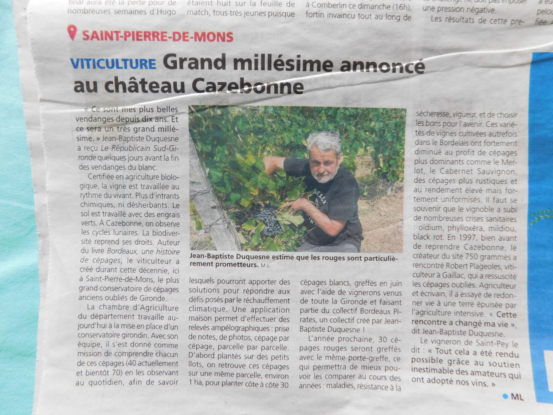Grand millésime annoncé au château Cazebonne